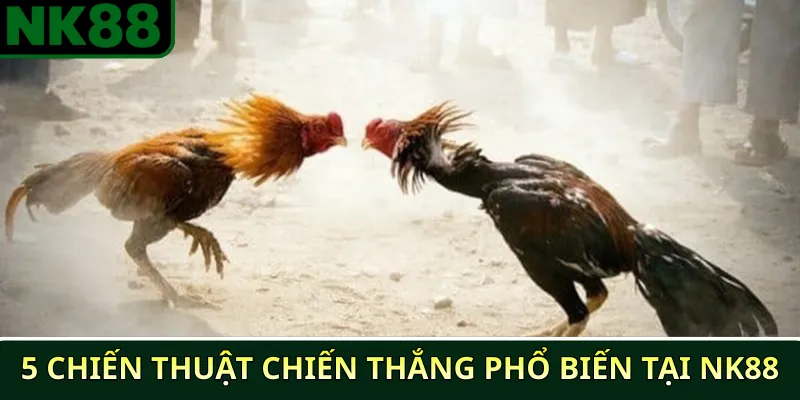 5 chiến thuật chiến thắng phổ biến tại NK88