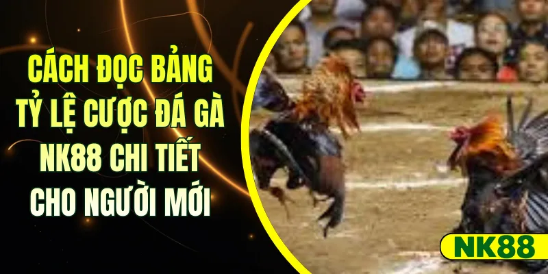 Cách đọc bảng tỷ lệ cược đá gà NK88