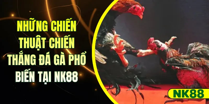 chiến thuật chiến thắng đá gà tại NK88