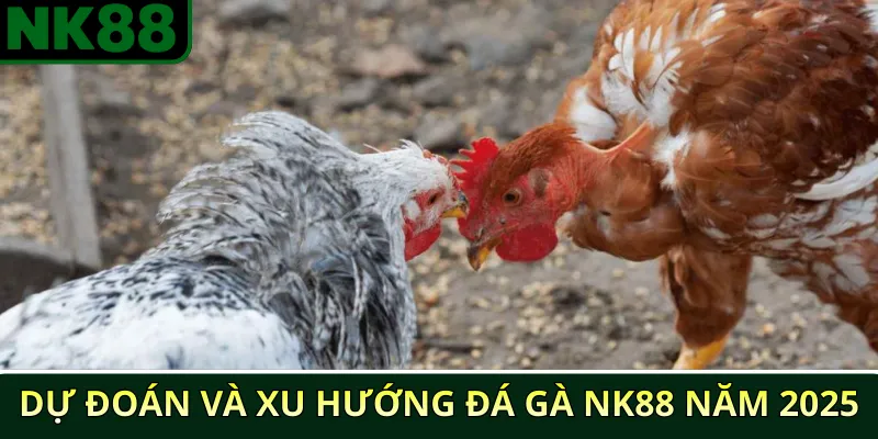 Dự đoán và xu hướng đá gà NK88 năm 2025