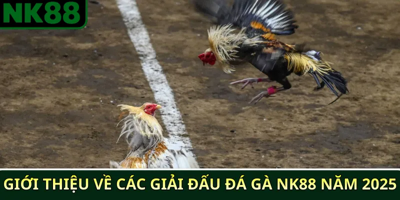 Giới thiệu về các giải đấu đá gà NK88 năm 2025