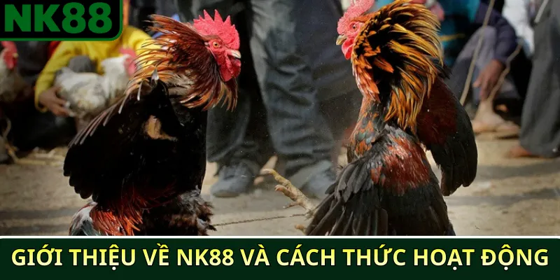 Giới thiệu về NK88 và cách thức hoạt động
