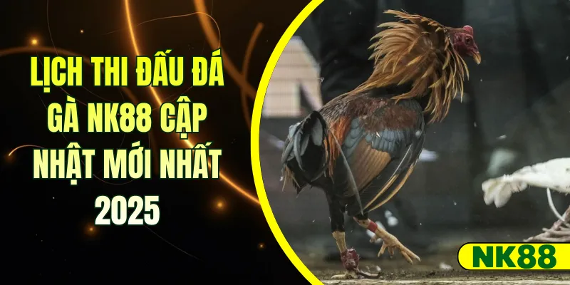 Lịch Thi Đấu Đá Gà NK88 Cập Nhật Mới Nhất 2025