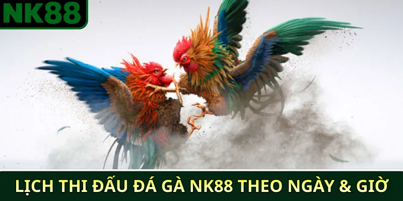 Lịch Thi Đấu Đá Gà NK88 Cập Nhật Mới Nhất 2025 3 Lịch Thi Đấu Đá Gà NK88 Theo Ngày & Giờ