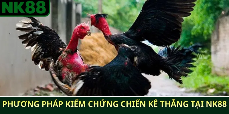 Phương pháp kiểm chứng chiến kê thắng tại NK88