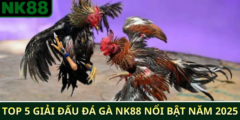 Top 5 giải đấu đá gà NK88 nổi bật năm 2025